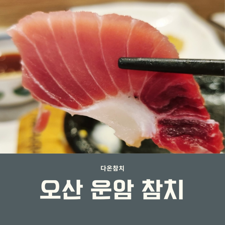  오산운암참치  다온참치 다찌석에서 먹은 라온스페셜