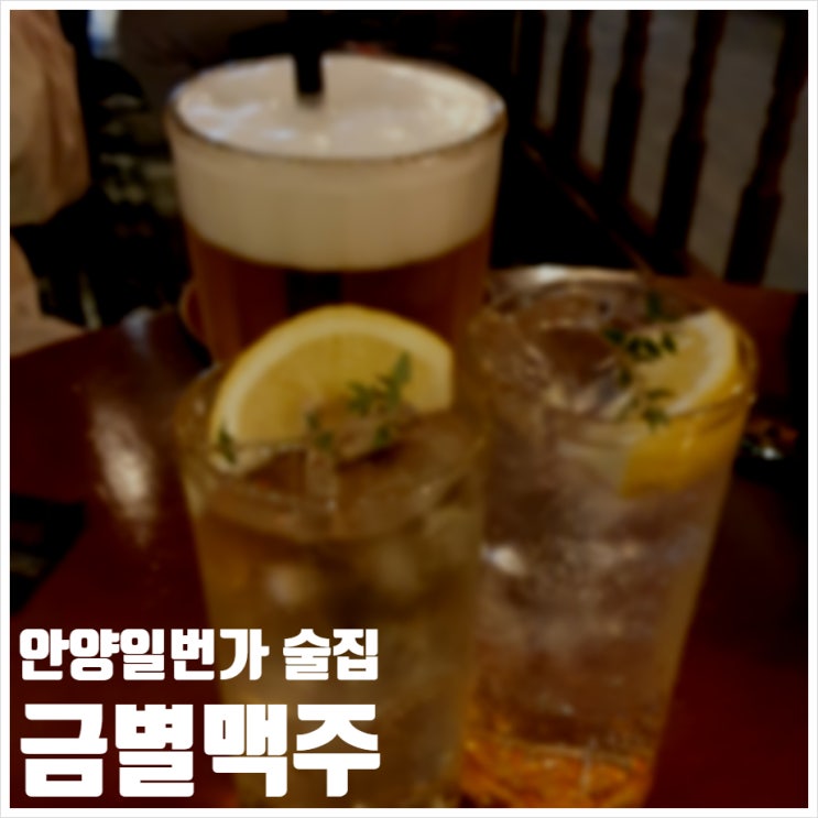  안양일번가 술집 금별맥주 안주 꿀맛