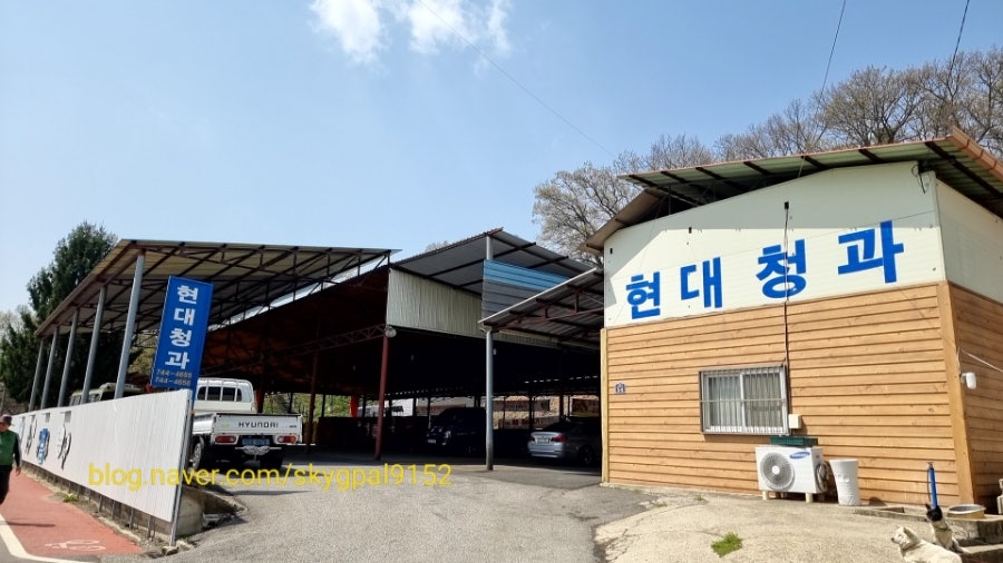현대식당 사진 1