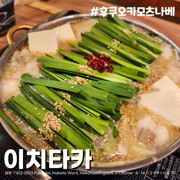  [일본/후쿠오카] 한국인이 더 많던 하카타역 근처 대창전골 모츠나베맛집 이치타카