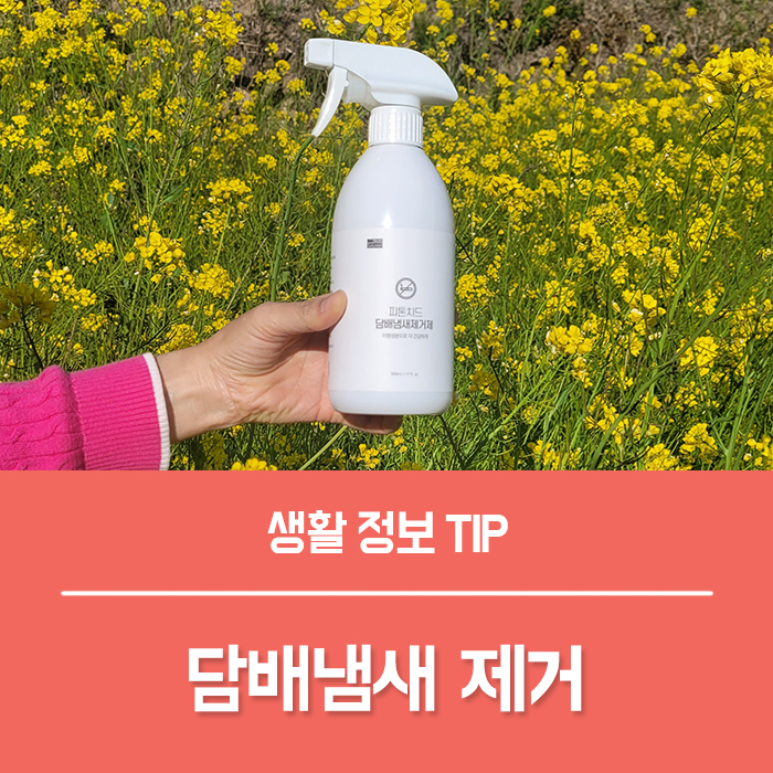  담배냄새 제거, 아파트 화장실 방에서 냄새, 차량 담배냄새 제거엔 듀오솔루션 피톤치드!