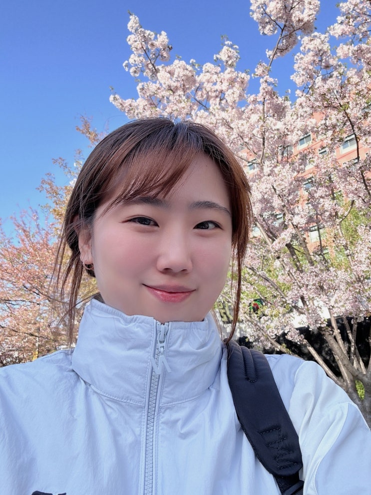  경의선 숲길 벚꽃, 비 온 뒤 산책도 나쁘지 않은걸?
