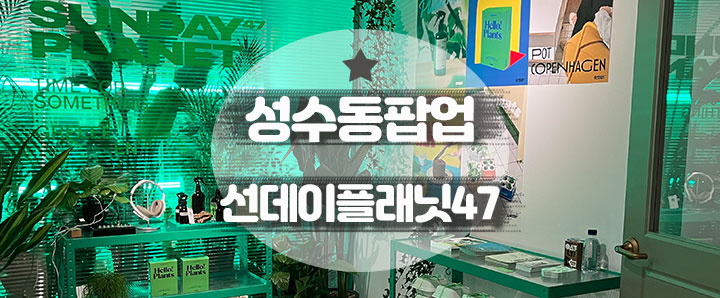[성수동] 화분계의 서브웨이 샌드위치 : 선데이플래닛47 성수동 팝업스토어(feat. LCDC 서울)