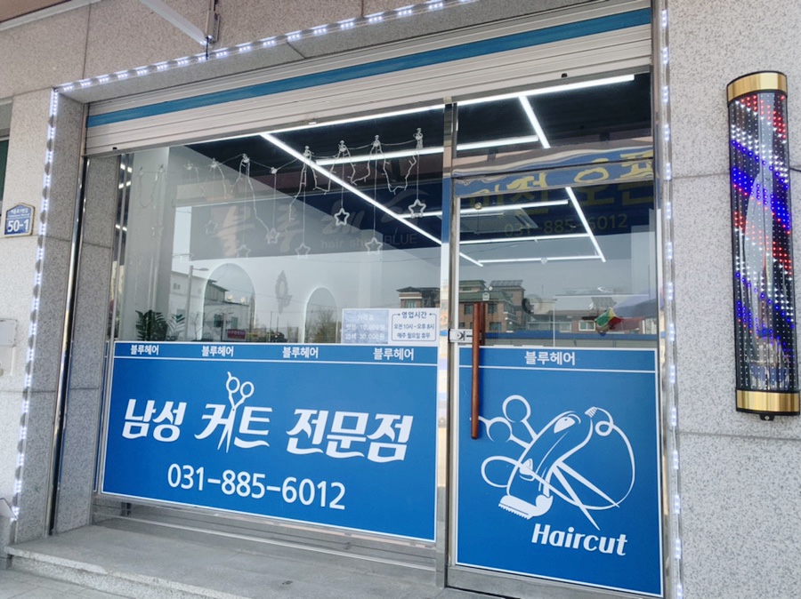 블루헤어 사진 2