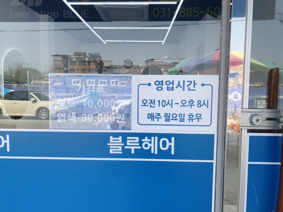 블루헤어 사진 3