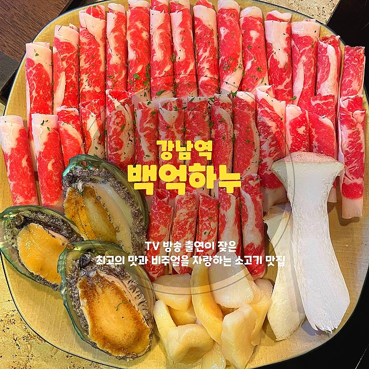  감탄뿐인 강남역 룸식당 회식장소, <백억하누>