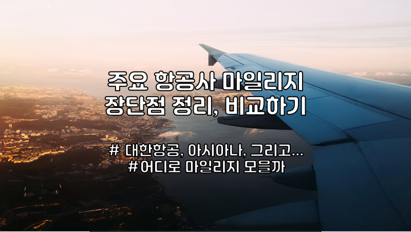 스카이팀, 스타얼라이언스, 원월드 주요 항공사 마일리지 비교하기 : 네이버 블로그