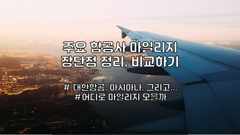 스카이팀, 스타얼라이언스, 원월드 주요 항공사 마일리지 비교하기 : 네이버 블로그 스카이팀, 스타얼라이언스, 원월드 주요 항공사 마일리지 비교하기 : 네이버 블로그