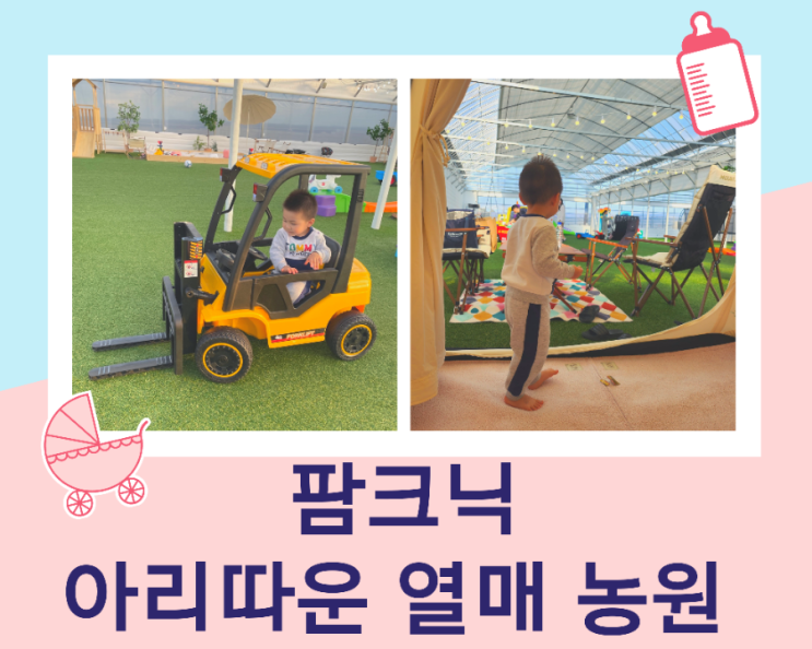  안성 아리따운 열매 농원 실내 놀이터에서 프라이빗 팜크닉 즐기기