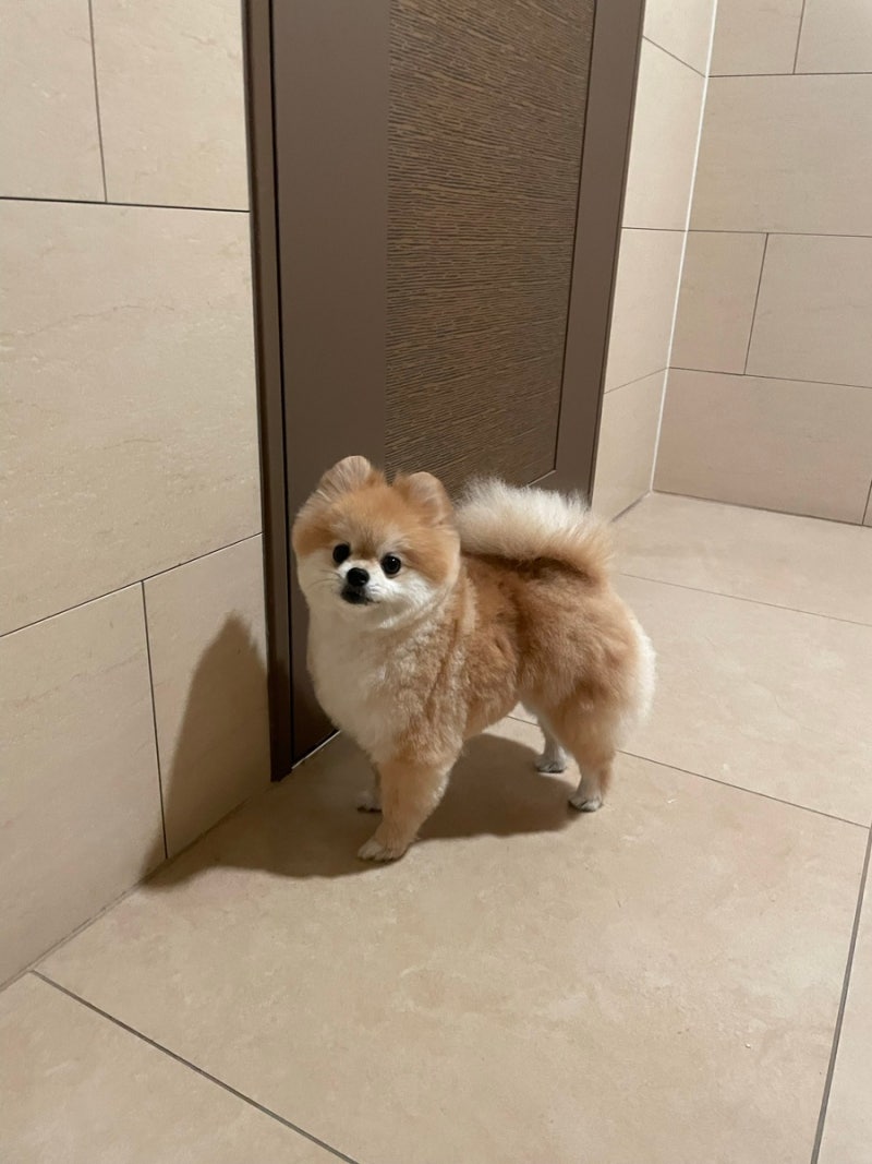 사진 6