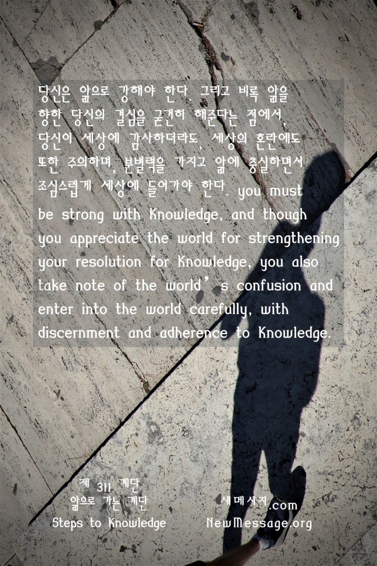 제 311 계단: 세상이 나를 부르고 있으니, 나는 세상에 봉사하기 위해 준비해야 한다 제 311 계단: 세상이 나를 부르고 있으니, 나는 세상에 봉사하기 위해 준비해야 한다