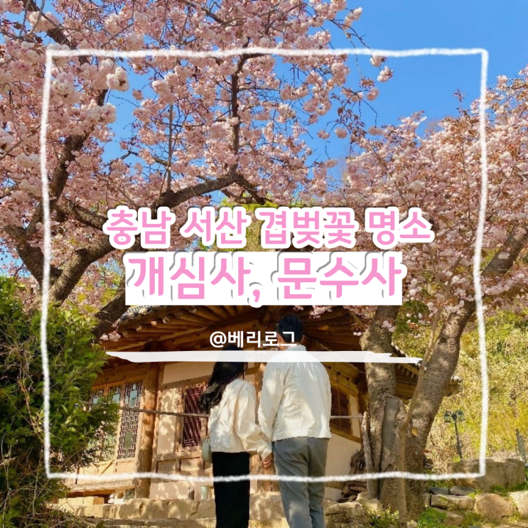  충남 서산 봄 여행지로 가볼 만한 곳 겹벚꽃 명소 개심사, 문수사, 보령 개화예술공원