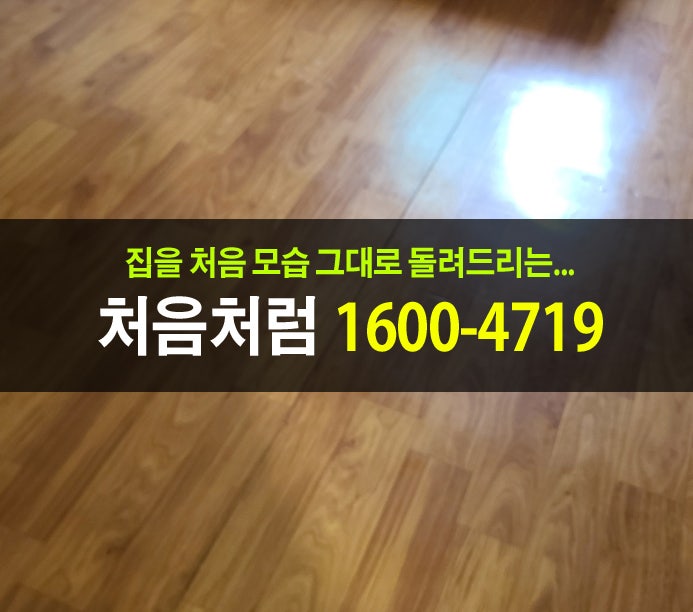  은평구 쓰레기 집 청소로 원룸 원상복구하기