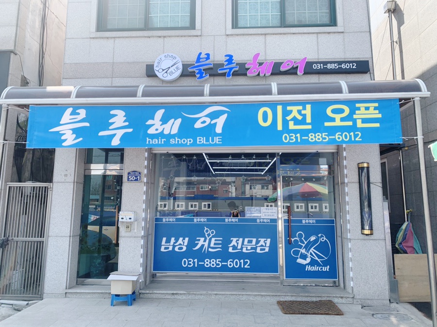 블루헤어 사진