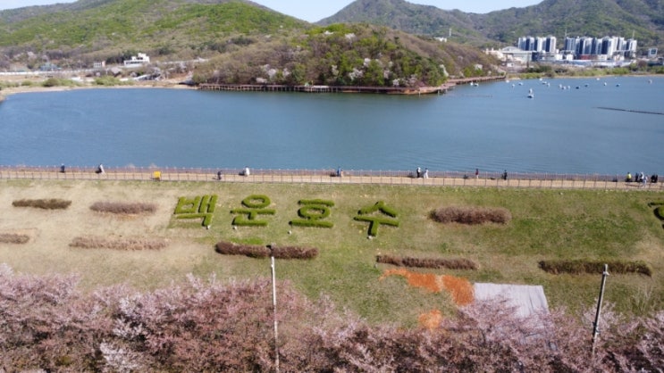  백운호수 공영주차장 저렴하면서도 공간넓은 추천 장소!