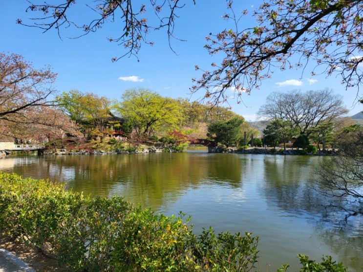 <b>김호중</b>, <b>김천</b> 신바람행복<b>콘서트</b>에 다녀와서
