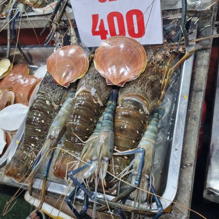  선짜야시장