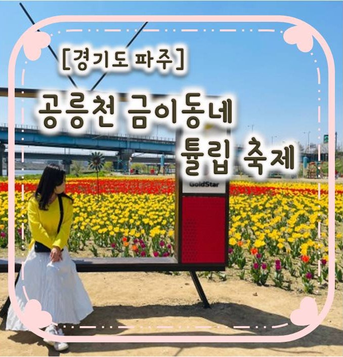 경기도 파주 공릉천 금이동네 튤립축제 경기도 파주 공릉천 금이동네 튤립축제