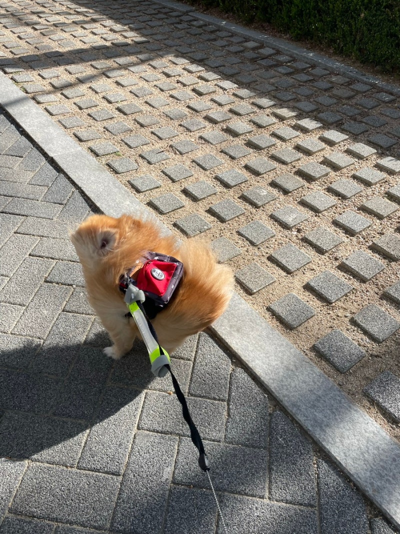 사진 7