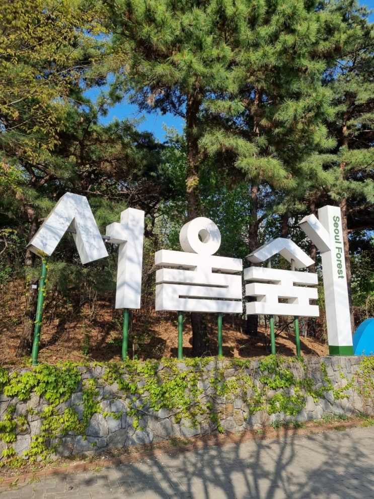 [서울] 서울숲 튤립
