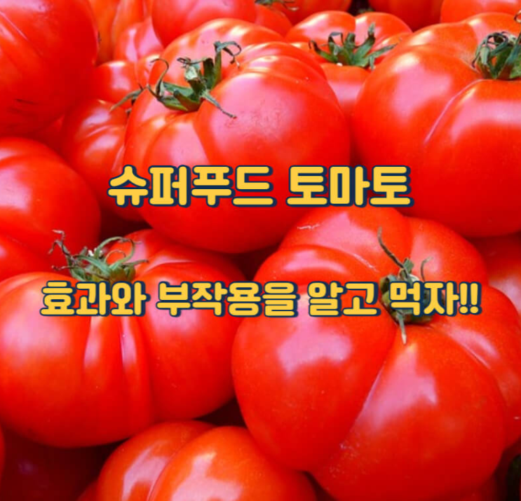 다이어트 식품 ; 토마토 효능 ; 슈퍼푸드 ; 토마토 부작용 ; 슈퍼푸드의 힘