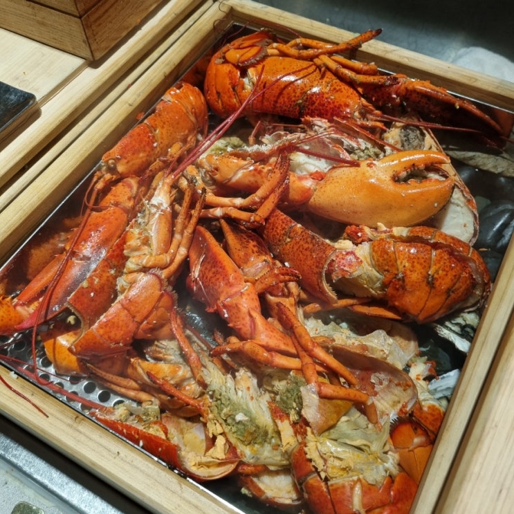  대게, 망고빙수 무한리필, 제주 휘닉스 코지 디너 뷔페 내돈내산, 할인, 제주 아이와 함께 오기 좋은 곳