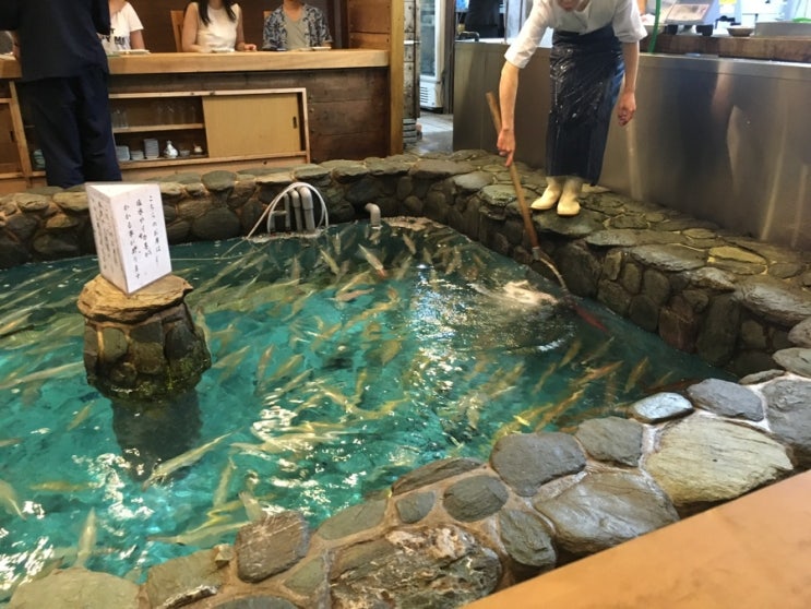 일본여행 후쿠오카 카와타로 나카스본점 런치정식 오징어회 맛집 (내돈내산)