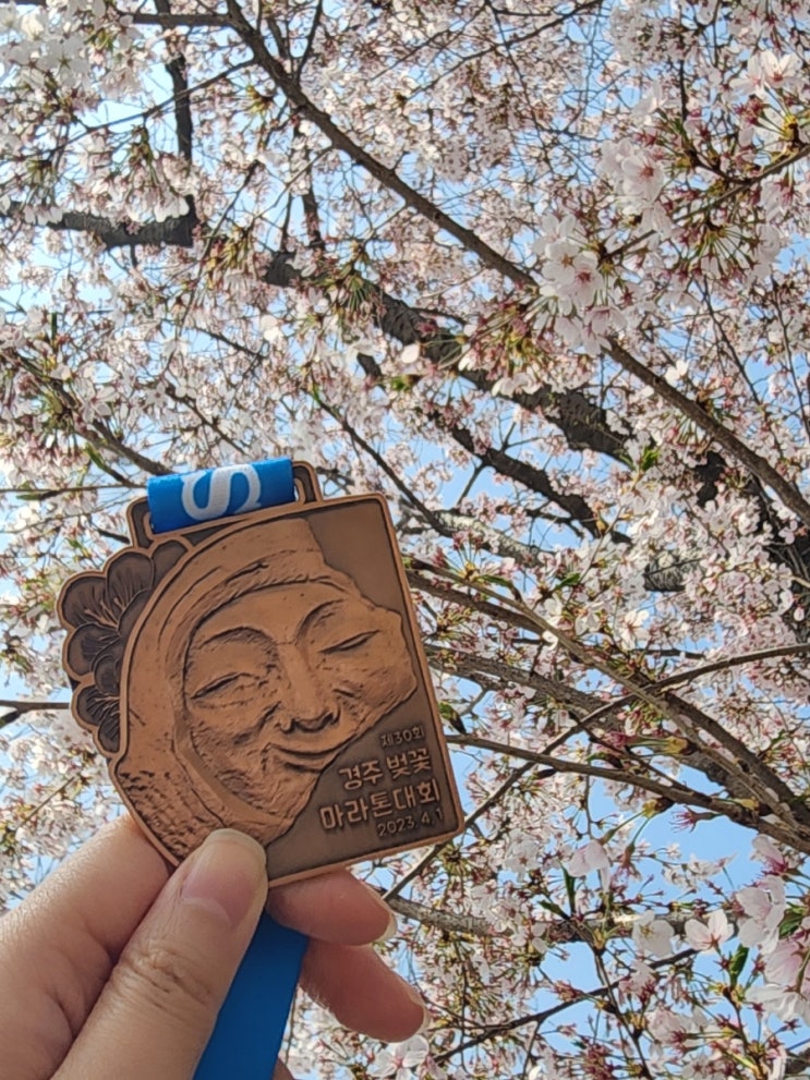  경주 벚꽃마라톤