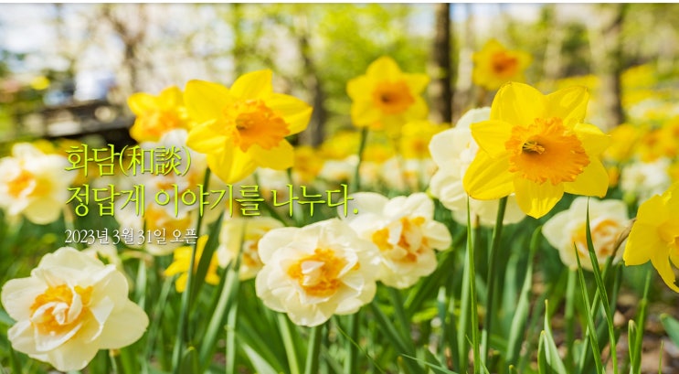  화담숲 예매 관람시간  대중교통 이용 방법 식당정보