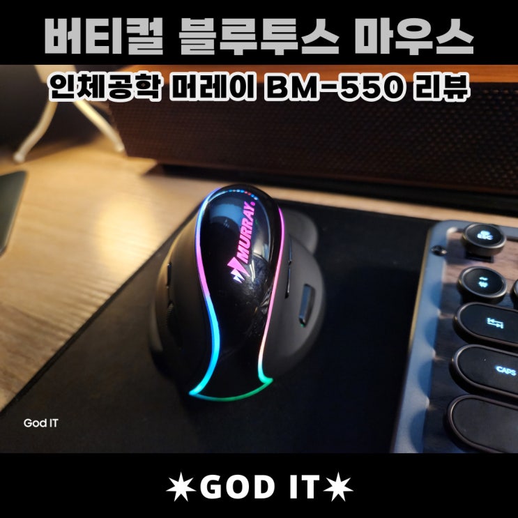  나의 손목을 지켜줄, 머레이 버티컬 블루투스마우스(BM-550)
