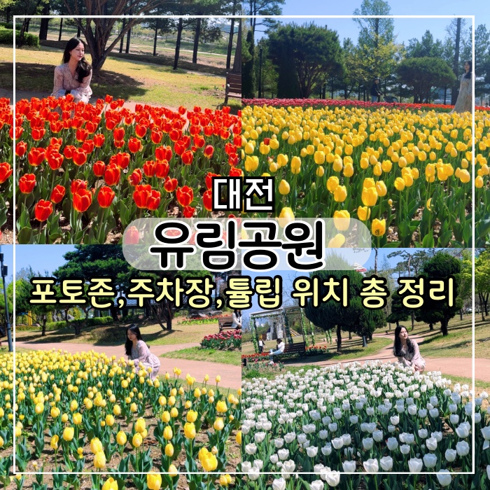 [대전 여행] 유림공원 튤립 축제 4/9 실시간 개화, 포토존 꽃 구경 추천(근처 주차,가볼만한 곳)