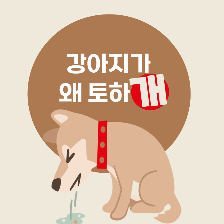  강아지 노란 구토와 갈색 구토의 차이 및 토하는 이유