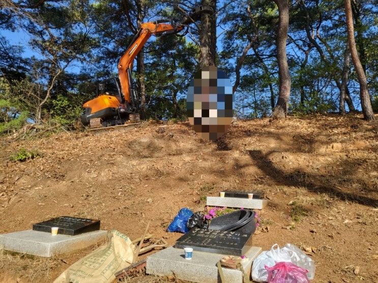  2023년 김천 신음동 벌목작업 잔디조성및 산소보수공사 고인돌장묘개발장의사 #윤달 #윤달이장 #윤달화장 #김천장의사 #구미장의사 #선산장의사 #상주장의사 #성주장의사 #문경장의사