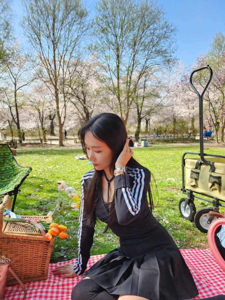  벚꽃이 지면