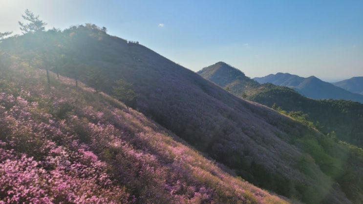  천주산 등산