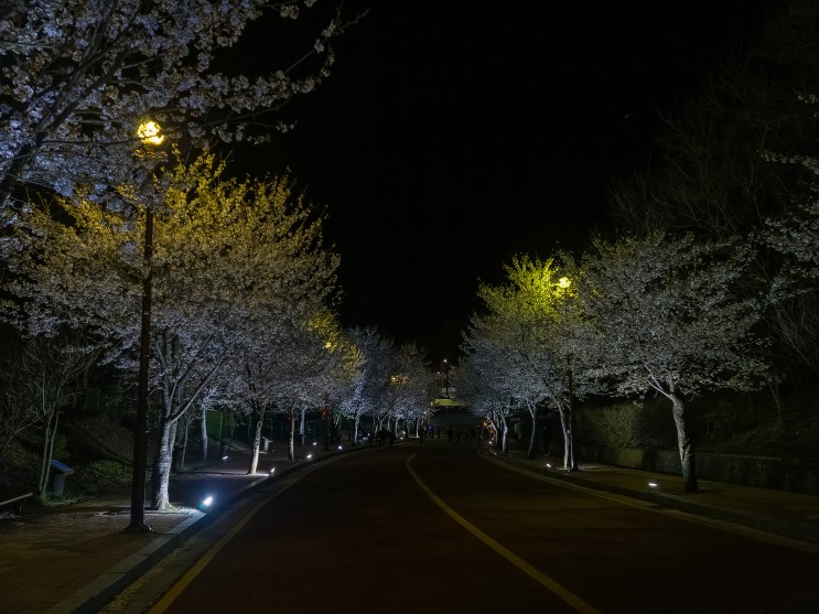 23.04.09 자유 수호 평화 박물관 마지막 낮/야간 소요산 벚꽃 구경!(+ 벚꽃은 지는 중...!)