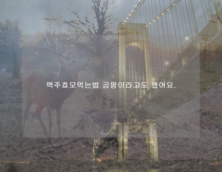 <b>맥주</b>효모먹는법 <b>곰팡이</b>라고도 했어요.