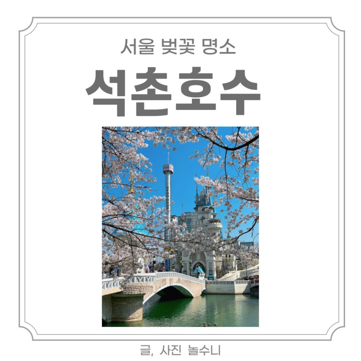 2023년 석촌호수 벚꽃 실시간 개화 상황 (3/31) 석촌 호수 축제