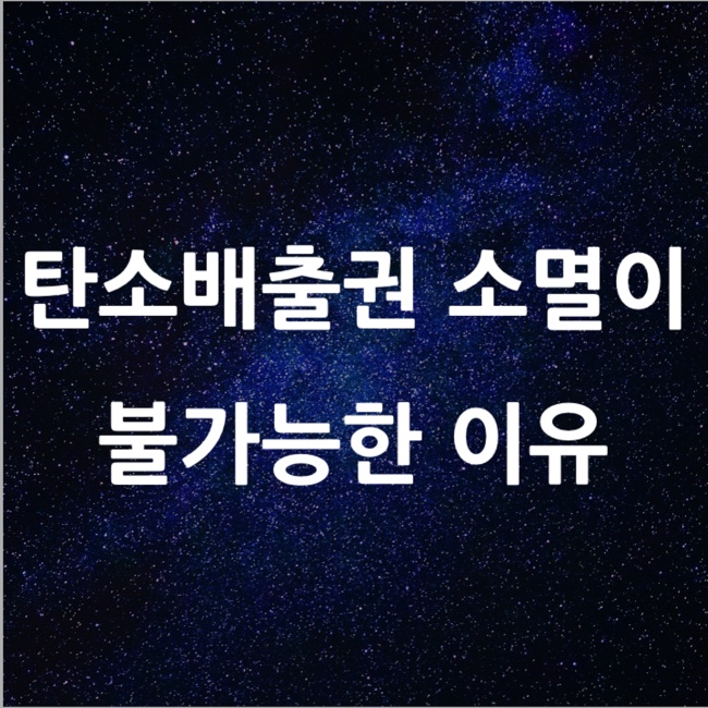  탄소배출권 소멸이 불가능한 이유 l 필수 금융 뉴스