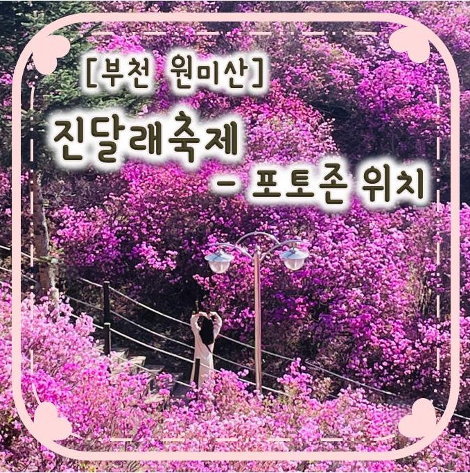 부천 원미산 진달래축제-포토존 위치 꿀팁 부천 원미산 진달래축제-포토존 위치 꿀팁