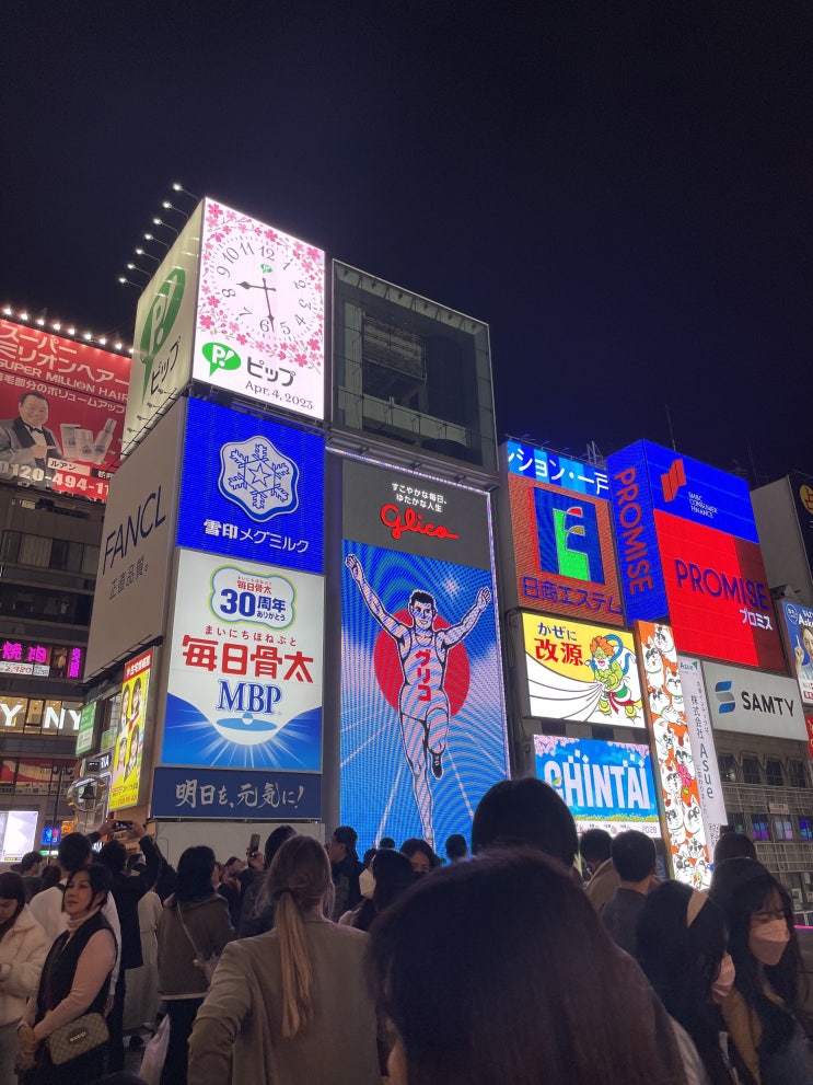  오사카여행코스! 야경이 예쁜 도톤보리와 오사카성 (오사카뽀개기 1탄)