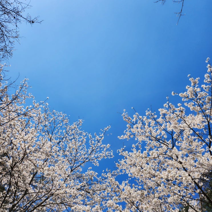  4.3-4.9 이번주 일상: 문배마을, 김유정역