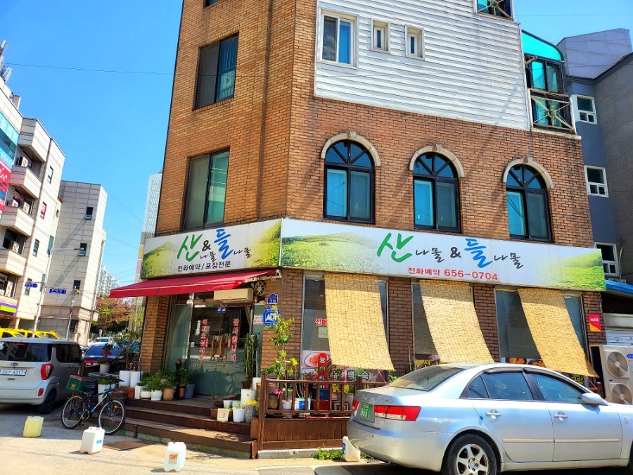 산나물들나물 사진 1