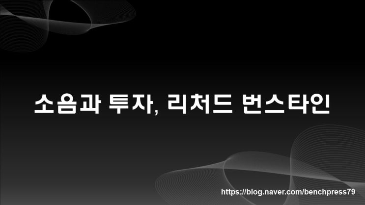  소음과 투자, 리처드 번스타인