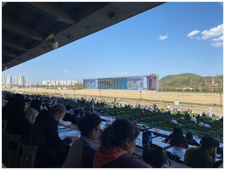  과천렛츠런파크 가족나들이도 커플이색데이트도 재미있는 곳 (전자카드4.0으로 경마하기)