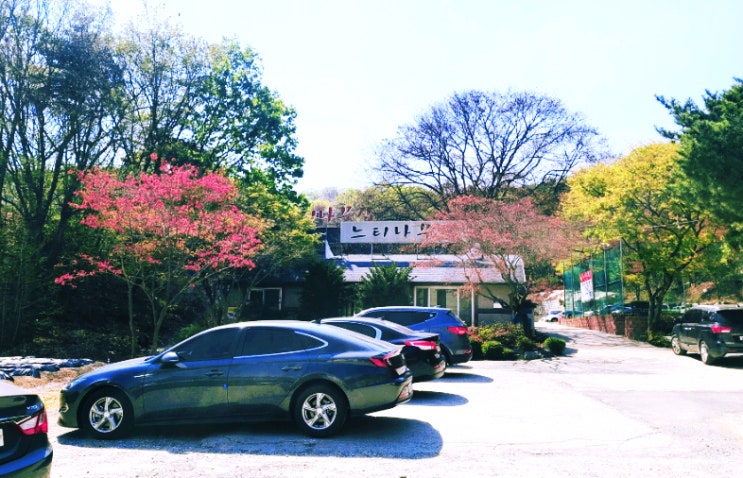  이천맛집 설봉산 보양식전문 이천 느티나무집