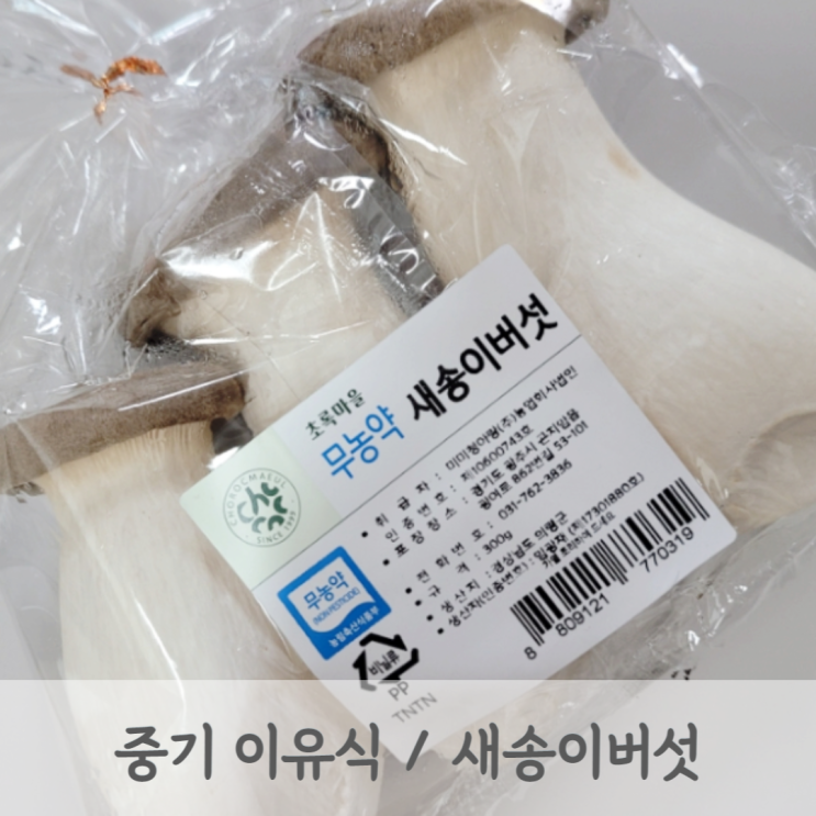 [중기이유식] 새송이버섯 큐브 만드는 방법 (새송이버섯 토핑, 토핑이유식, 베이비무브)