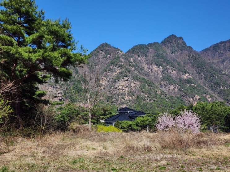  충주호(청평호)장회나루 유람선,쾌속선 단양팔경(구담봉,옥순봉)