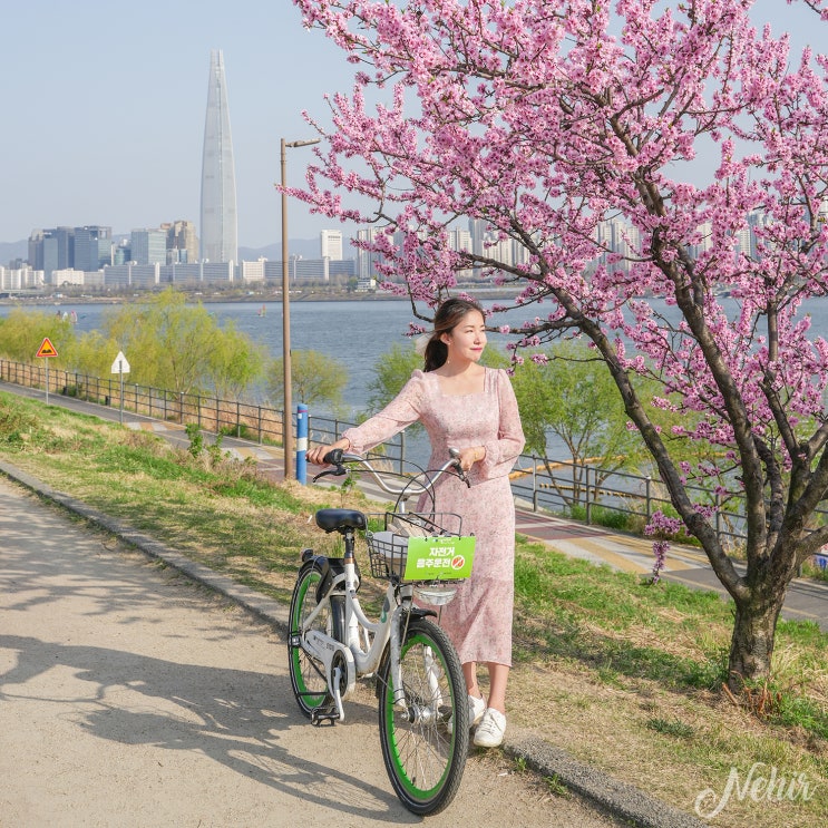 뚝섬한강공원 자전거 티머니GO 할인 따릉이 이용방법