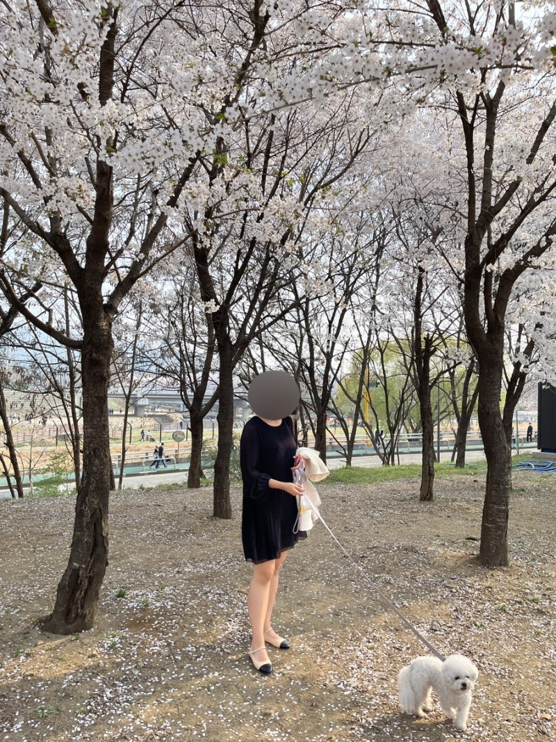 Aritzia 아리찌아 블랙 쉬폰 원피스